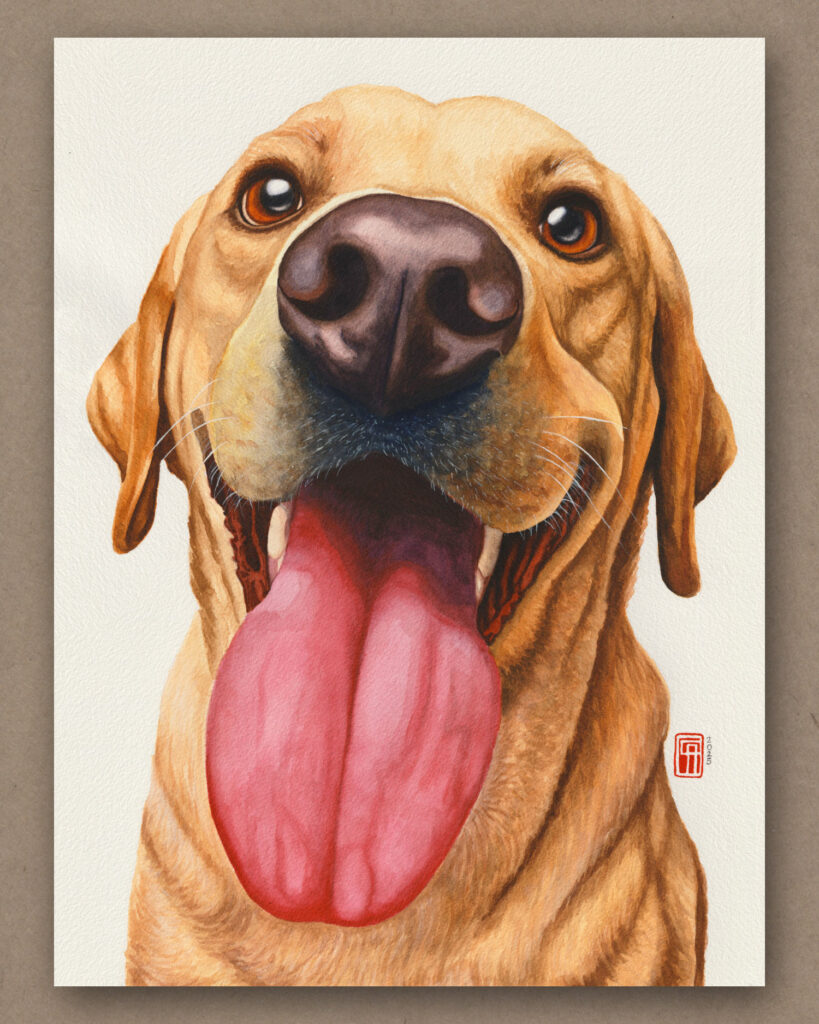 Bruno Aquarell eines Labradors, der mit leuchtenden Augen und herausgestreckter Zunge dem Betrachter entgegenlacht